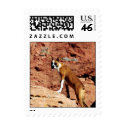 Adorable domesticated animals 1 postage