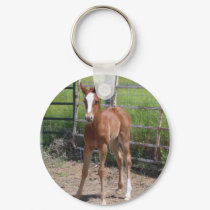 Adorable Filly keychains