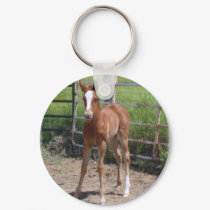 Adorable Filly keychains