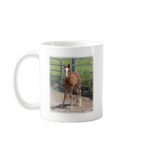 Adorable Filly mugs by jhimages Adorable Filly mugs