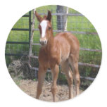 Adorable Filly Stickers