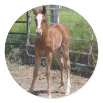 Adorable Filly stickers