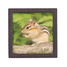Adorable Fluffy Baby Chipmunk Premium Keepsake Boxes