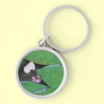 Adorable frog hiding in water lily pads keychains