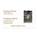Adorable Giraffe Business Card