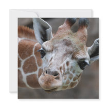 Adorable Giraffe Invitations