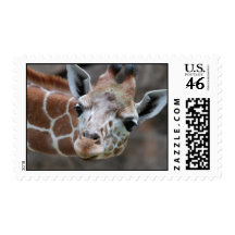 Adorable Giraffe Postage Stamp