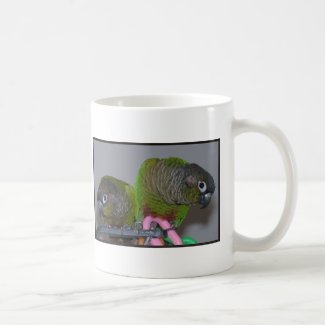 Adorable Greencheek Conures Mug