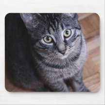 Adorable Grey Cat Mouse Pad