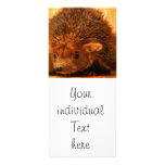 adorable hedgehog rack card