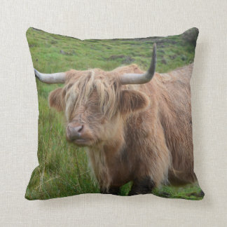 longhorn pillow pet