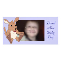 Adorable Kangaroo photo cards