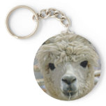 Adorable Keychains