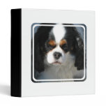 Adorable King Charles Spaniel Binder binders