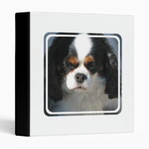 Adorable King Charles Spaniel Binder