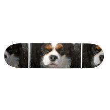 Adorable King Charles Spaniel Skateboard