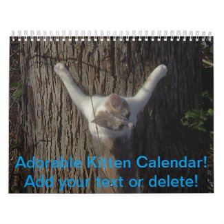 Adorable Kitten Calendar
