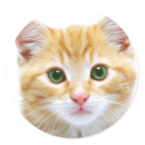 Adorable kitten stickers by HandsomeDevil Adorable kitten stickers
