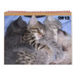 ADORABLE KITTENS 2012 WALL CALENDAR