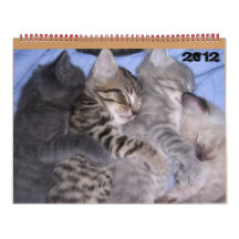 ADORABLE KITTENS 2012 WALL CALENDAR