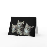 Adorable Kittens Card