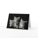 Adorable Kittens cards