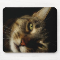 Adorable Kitty Mousepad mousepads