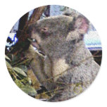 Adorable Koala Sticker