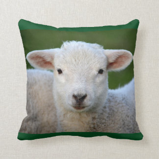 pillow pet lavender lamb