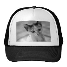 Adorable Little Kitten Hats