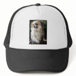 Adorable Long Hair Rescue Dog Mesh Hat