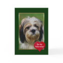 Adorable Long Haired Dog cards by mickeyelvis128 Adorable Long Haired Dog cards