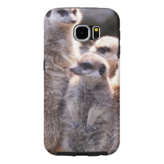 adorable meerkat samsung galaxy s6 cases