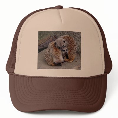 Adorable Meerkats Bundle of Fur Nature Photo Trucker Hat by angela65
