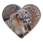 Adorable Meerkats Bundle of Fur Nature Photo Sticker