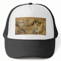Adorable Meerkats Trucker Hat