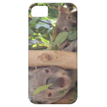 Adorable Mother and Baby Koala iPhone 5 Covers