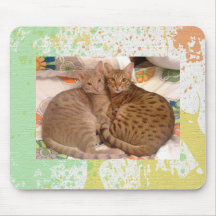 ADORABLE OCICATS MOUSE PADS