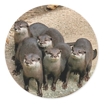 Adorable Otter Family Sticker by angela65