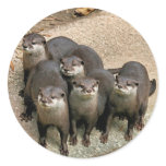 Adorable Otter Family Sticker