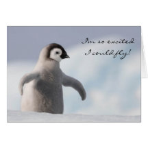 Adorable Penguin Birthday Card