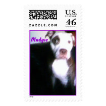 Adorable Pitbull postage