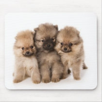 Adorable Poms mousepads by rstarkoo Adorable Poms mousepads