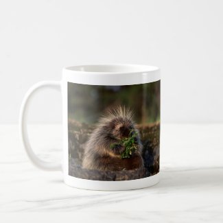 Adorable Porcupine mug