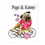 Adorable Pugs & Kisses Valentine Tees & Gifts Post Card