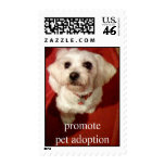 Adorable pup,   Adopt a dog today stamp - mutt stamps