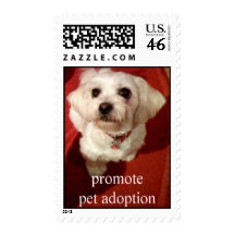 Adorable pup,   Adopt a dog today stamp - mutt