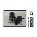 Adorable Puppies Postage stamp