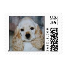 Adorable puppy dog eyes stamp