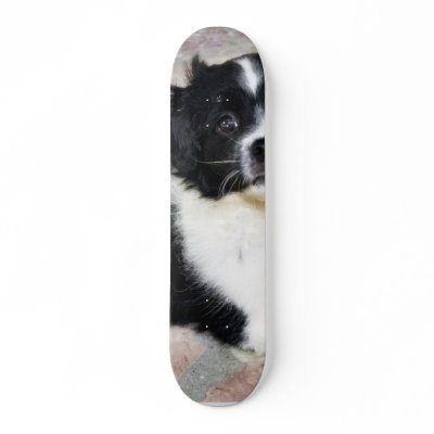 Adorable Puppy On The Ground Skate Board Deck by lifesphere